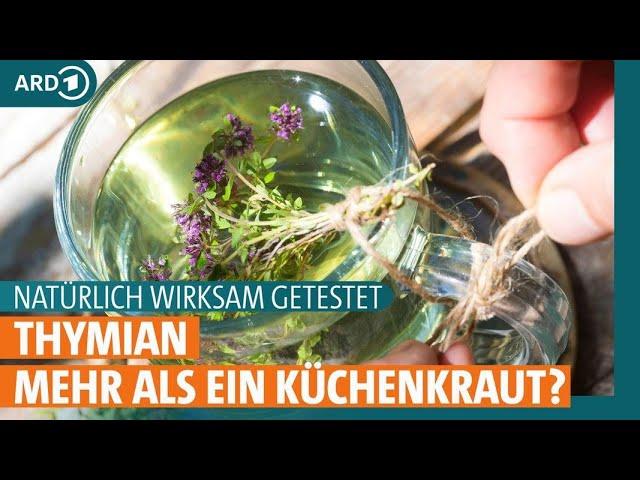 Thymian: Hilft die Heilpflanze bei Erkältung, Entzündungen und Co.? | ARD Gesund