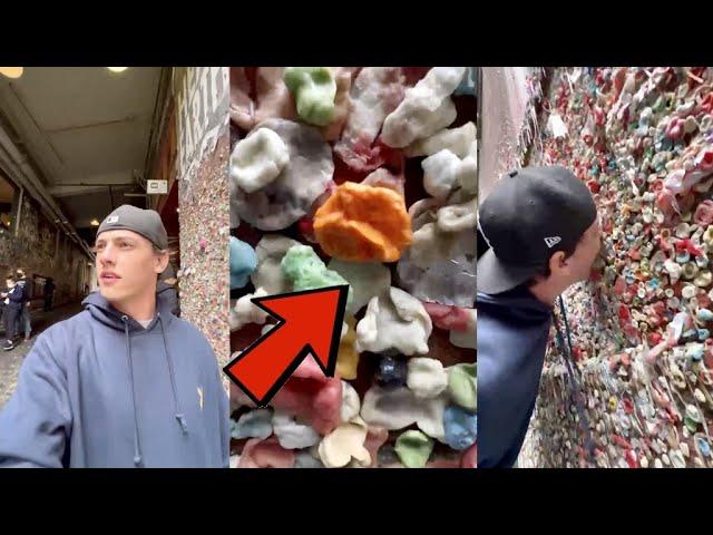 So happy I found his gum...   - #Shorts