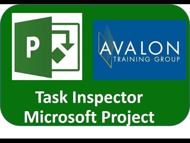 Task Inspector for Project Professional