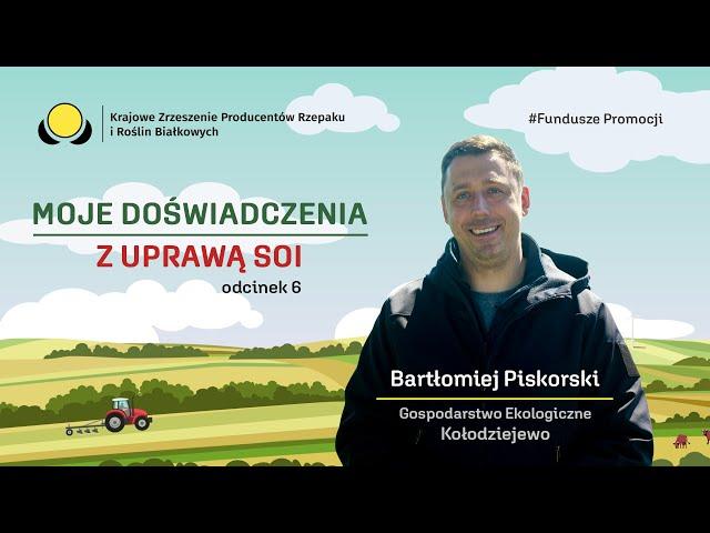 Moje doświadczenia z uprawą soi | Sezon 2 | Bartłomiej Piskorski - ekologiczna uprawa soi 