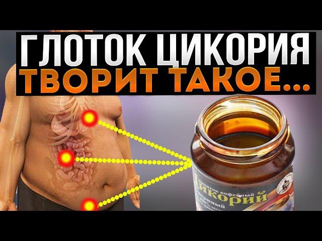 Вот что Творит Цикорий, если пить Каждый день