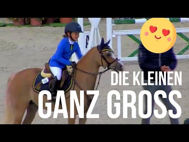 Zuckersüß!! Jeder fängt mal klein an | Pony Cup | Die Reiter von morgen! | Die kleinen ganz groß!