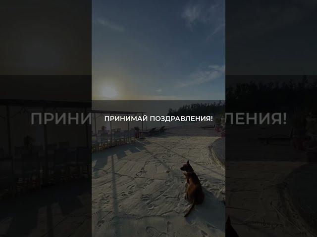 ДЕНЕЖНЫЙ ПОТОК #shorts #шортс #мотивация