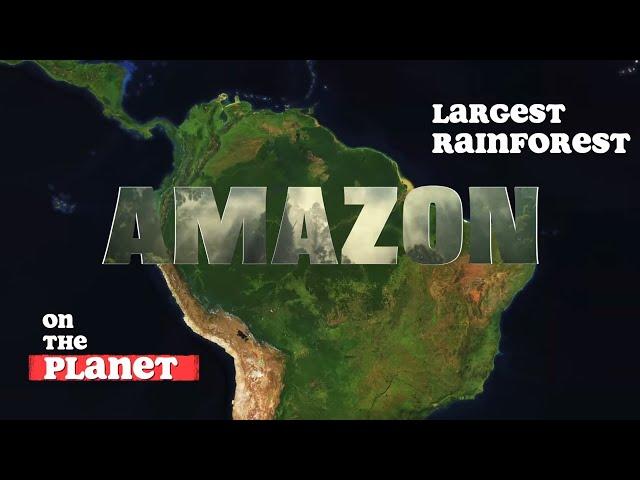 The Amazon Rainforest - Origin and Destiny