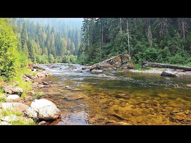 The BEST TROUT STREAM in the US is a SECRET to most - no crowds, big fish, numbers & all public! p27