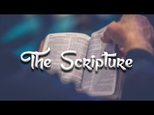 Dancehall Riddim Instrumental "The Scripture" Prod. By Oxygen Muziq