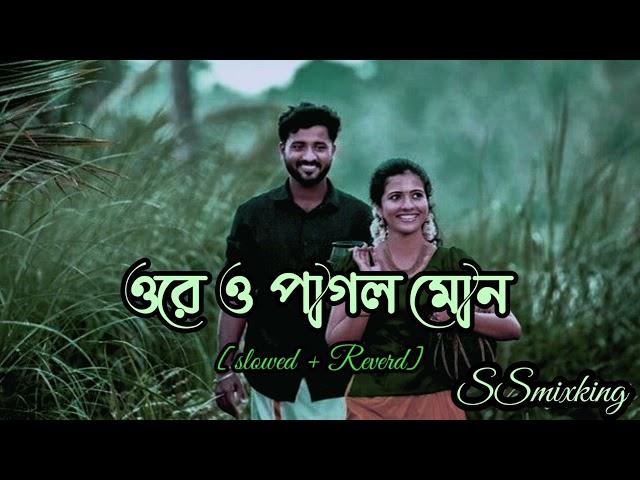 Pagol Mon Lofi | পাগল মন | Bangla HurtTouching Song | Samz Vai | (Slowed & Reverb) | SSmixking