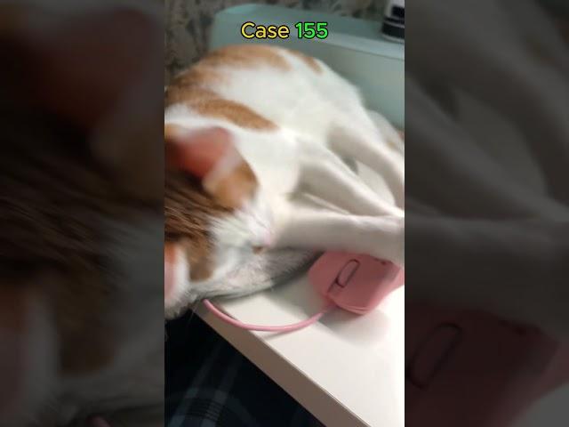 Amur opens a case in CS2 looking for a knife #amur #cs2case #catcs2 #opencases #cs2caseopening