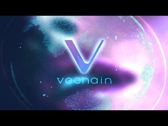 What is Vechain & VeThor?