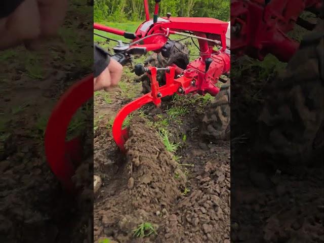 Мотоблок Беларус - красавец из Сморгони. Весенняя перепашка. #мотоблок #farming