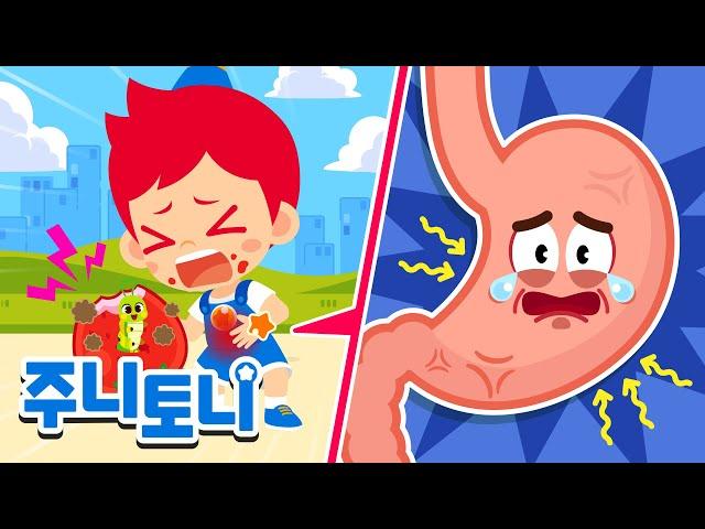 꾸룩꾸룩! 배가 아파요 | 건강한 식습관 만들기 | 식중독 예방송 | 인기동요 | 생활습관동요 | 동요 연속재생 | 주니토니 | JunyTony