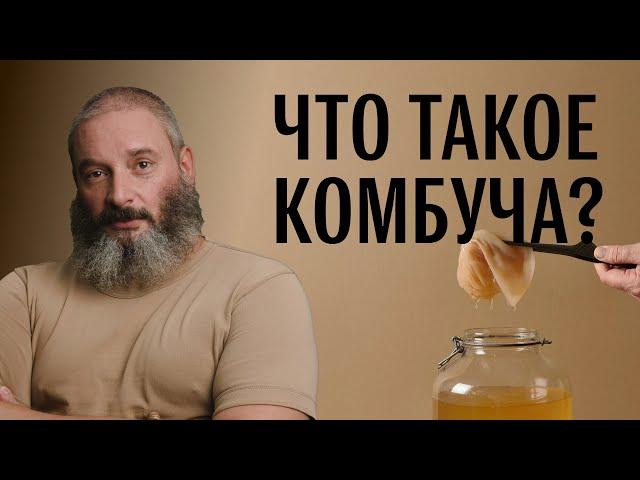 Полезен ли чайный гриб (комбуча)? Михаил Вишневский