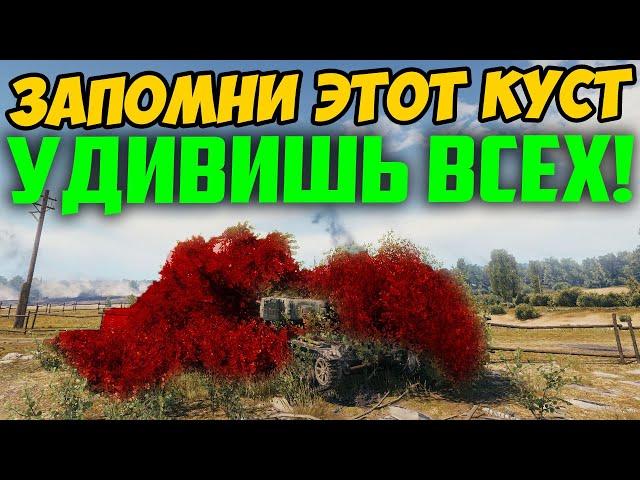 ЕСЛИ ТЫ ИГРАЕШЬ НА ЛТ, ЗАПОМНИ ЭТОТ КУСТ!!