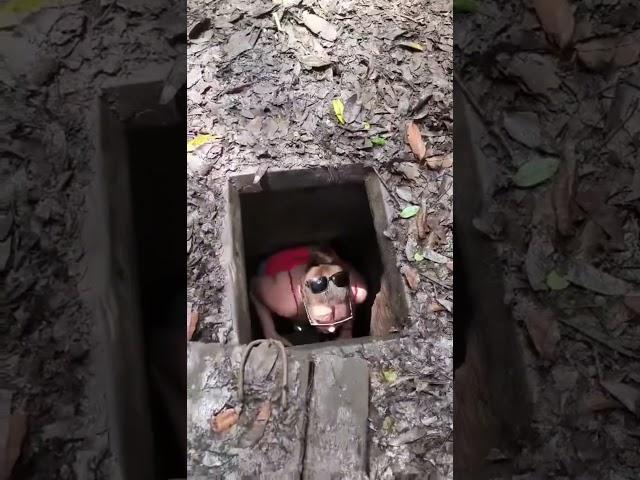 War tunnels , Vietnam