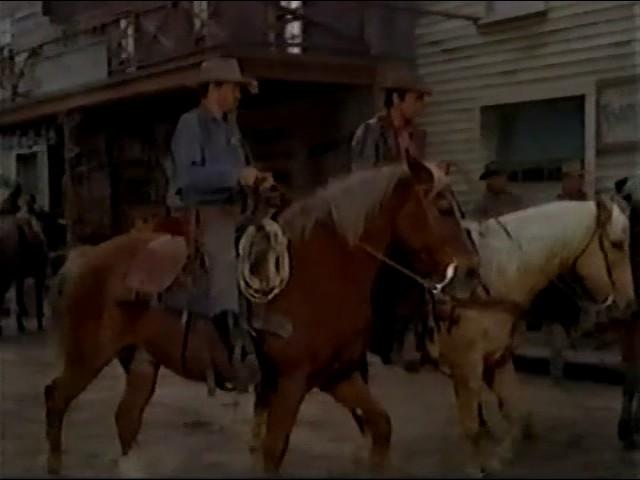 1 23 The Man Without a Gun