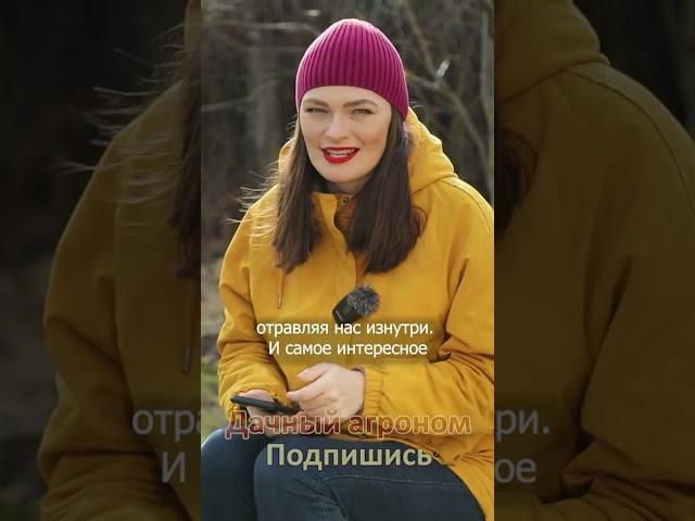 ВОТ ПОЧЕМУ картофель ВКУСНЫЙ Дачный агроном