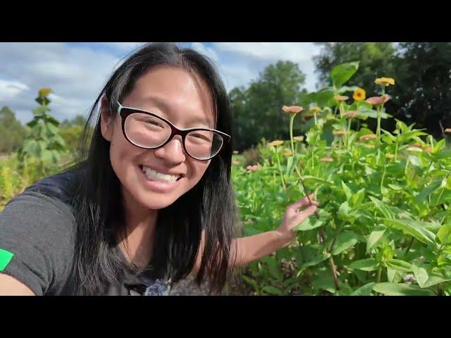 Floret Zinnias: Worth the hype?