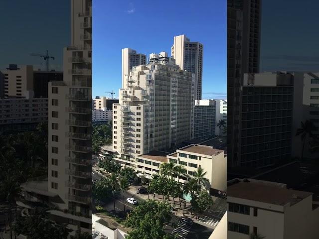 Sash Stangs and Voulé in Hawaii view from Hilton Garden Inn Waikiki Beach Oct 2017