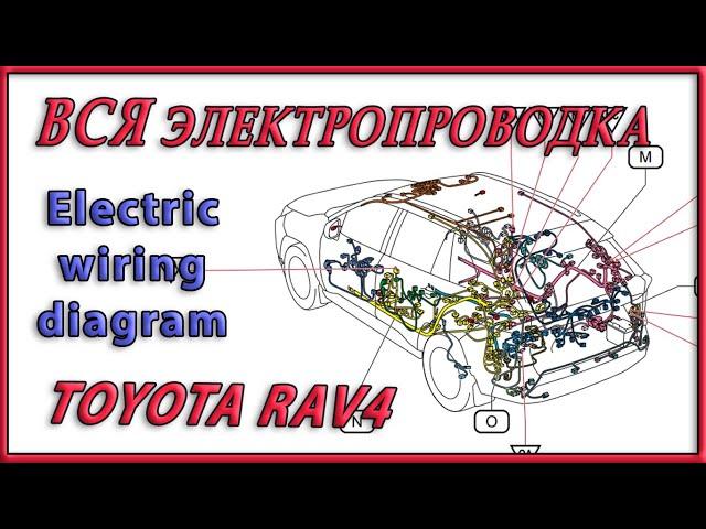 RAV4 2020 Electric wiring diagram  Схема электропроводки