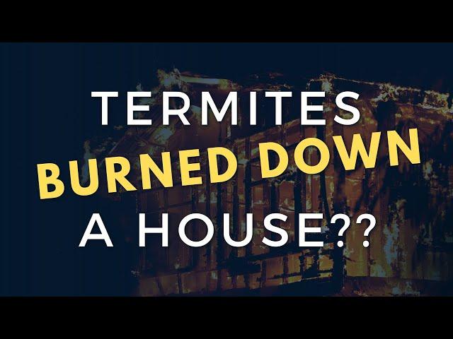 Termite Arsonists - They can burn down houses now??