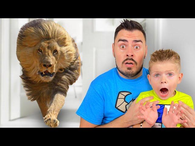 Platoha Moha and Dad have set up a home zoo Pretend play with Platoha Moha