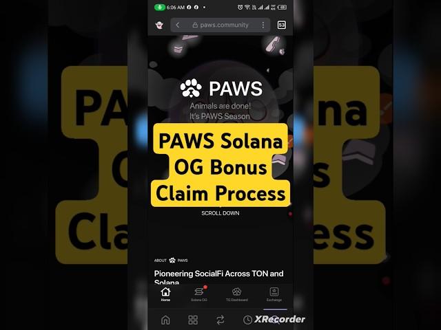 Paws solana og checker | claim paws | paws claim update | paws claim eligibility | paws allocation