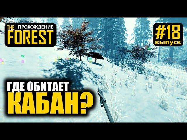 The forest - Where to find a boar? - Walkthrough - merkalex