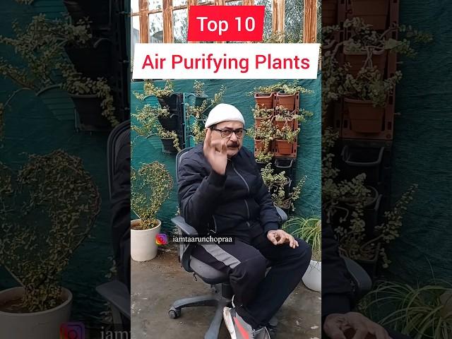 Best Indoor Plants For Home I Top 10 Air Purifying Plants #indoorplants