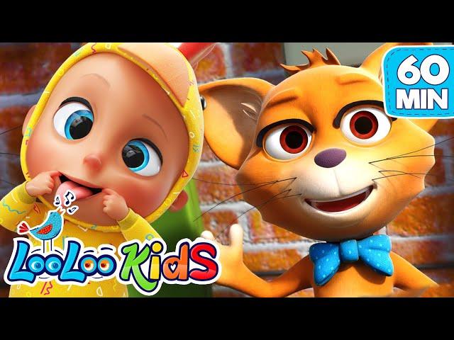 Mister Cat - S2EP33 Musical Adventure Collection - LooLoo Kids Songs for Kids