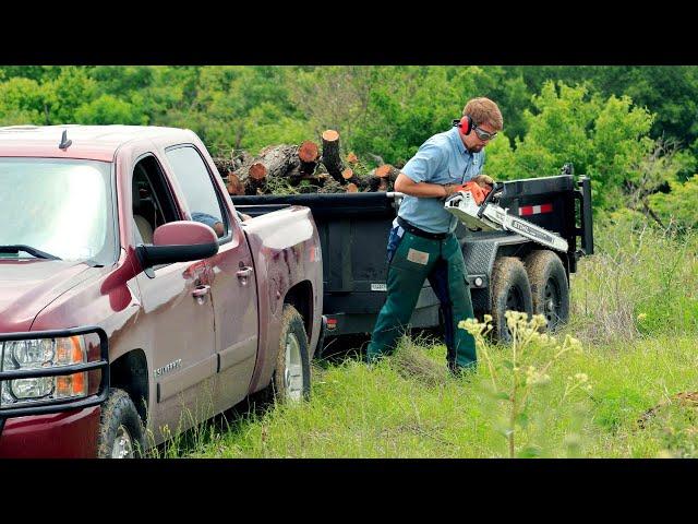 Short vs. Long Chainsaw Bar Length - Free Firewood Haul (Stihl MS 261, Husqvarna 550 xp, Stihl 500i)