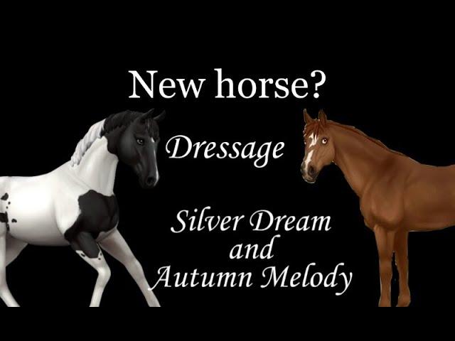 ¤ New horse? ¤ Dressage ¤ SilverDream and AutumnMelody ¤