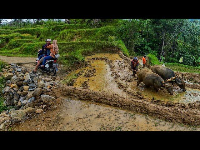 NIAT KURING SILATURAHMI KE KAMPUNG CEP IMAN YANG INDAH ALAM DESANYA, MENIKMATI HIDUP DI DESA