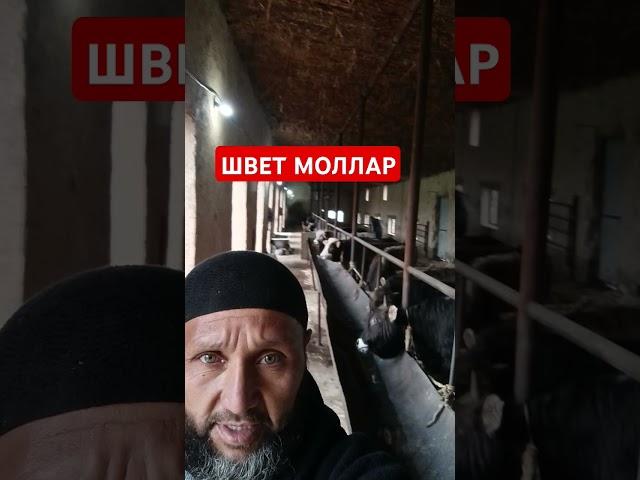 +998933312323