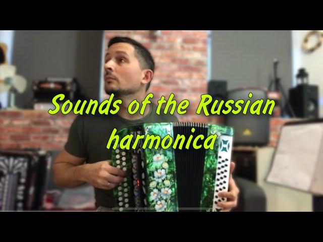 Incredible electronic harmonica  Russian harmonica sounds