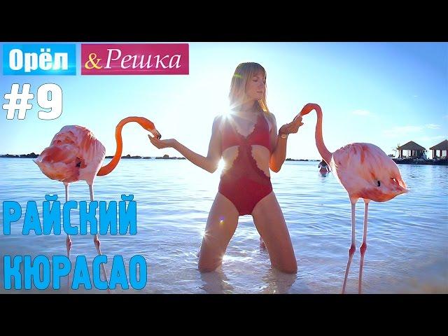 #9 Райский Кюрасао. Орёл и Решка. Рай и Ад. UKR