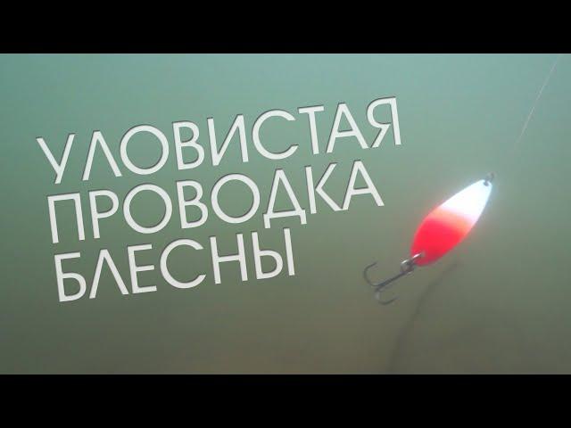 УЛОВИСТАЯ ПРОВОДКА колебалки в сложных погодных условиях от Ивана Мазовка