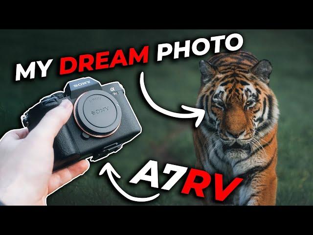 The KING Of Wildlife Photography - Sony A7RV + Focus Settings