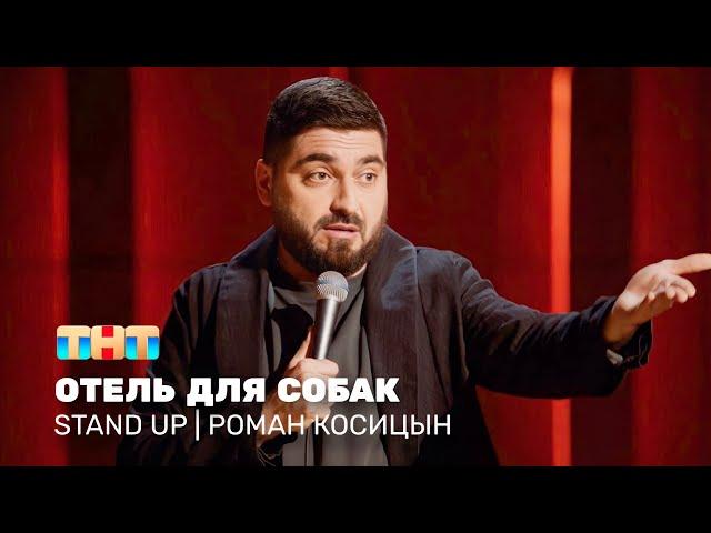 Stand Up: Роман Косицын - отель для собак @standup_tnt