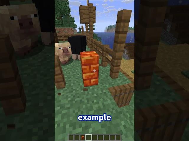 An Animal Pen Hack!