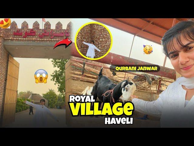 Haveli of Syed family at small village of Sindh ️ || Qurbani ka janwar 