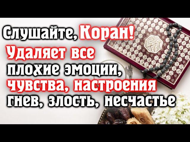  СЛУШАЙТЕ КОРАН - УДАЛЯЕТ ВСЕ ПЛОХИЕ ЭМОЦИИ, ЧУВСТВА, НАСТРОЕНИЯ, ГНЕВ, ЗЛОСТЬ, НЕСЧАСТЬЕ