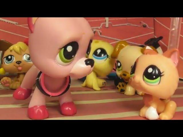 LPS сериал: Спортсменка 9 серия