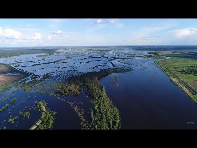 РІЧКА СЛУЧ ВИЙШЛА З БЕРЕГІВ.  САРНИ. ПОЛІССЯ