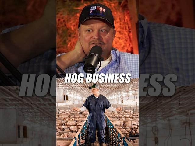 How the Hog Business is One of The Best Food Production Systems