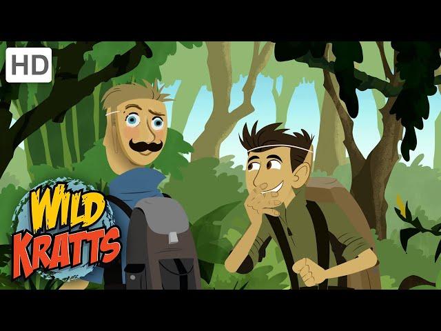 WILD KRATTS | Hiding From A TIGER! | Nature