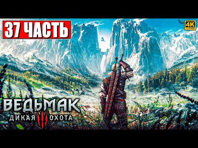 ПОЛНОЕ ПРОХОЖДЕНИЕ ВЕДЬМАК 3 RTX [4K]  Часть 35  The Witcher 3 Wild Hunt На Русском  На ПК