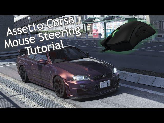 Assetto Corsa Setting Up Mouse Steering + My Settings