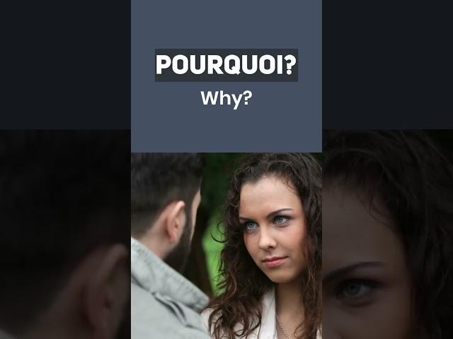 FRENCH FOR BEGINNERS BASIC QUESTIONS WHAT? WHY? WHO? SHORT