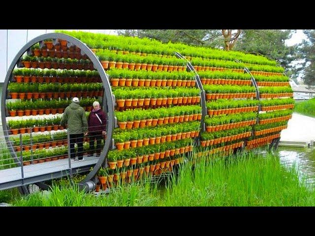 11 AMAZING FARMS YOU HAVEN'T SEEN BEFORE