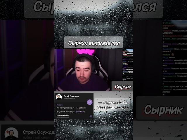 Сырник высказался до слёз #stray228 #shorts #стрей #стрей228